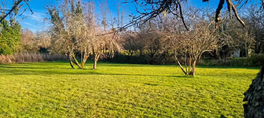 Adjacent-Building-Plot